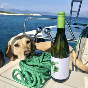 Day cruise with catamaran's dog